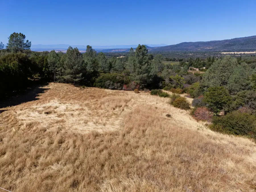 31815 Forward Road, Manton, CA 96059 - #2