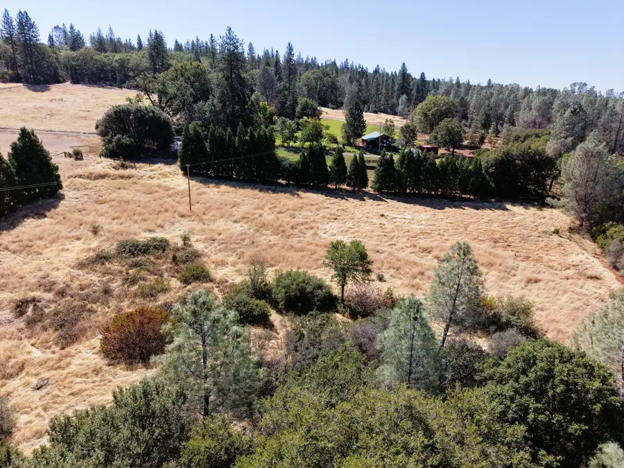 31815 Forward Road, Manton, CA 96059 - #3