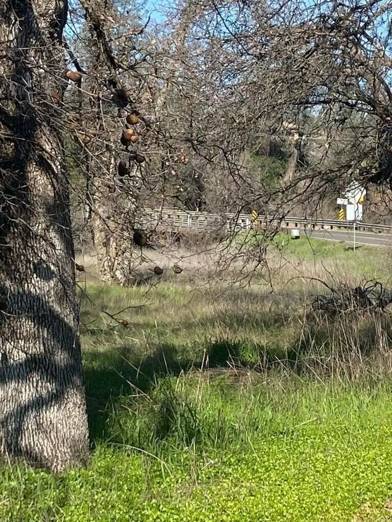 99999 Churn Creek Road, Redding, CA 96002 - #1