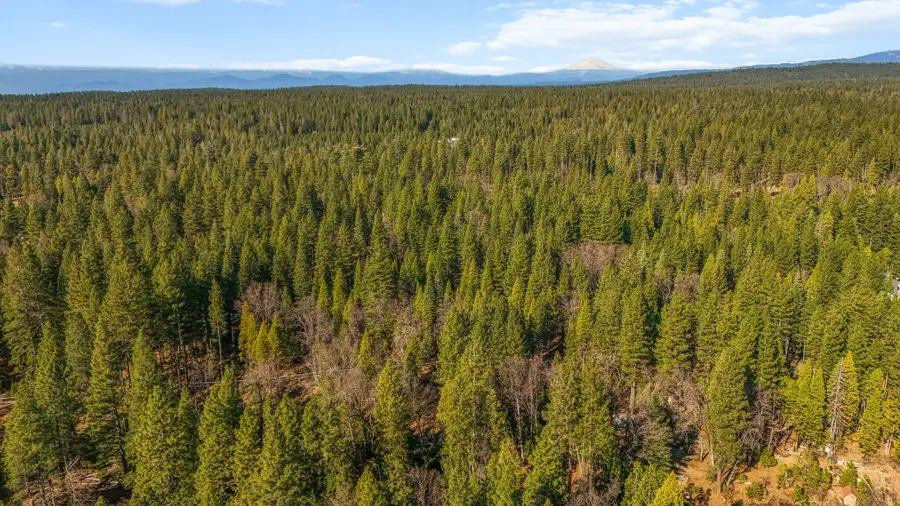 32833 California 44, Shingletown, CA 96088 - #2