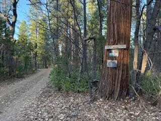 Faye Wildcat Ranch Road, Whitmore, CA 96096