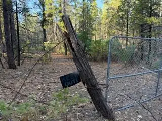 Faye Wildcat Ranch Road, Whitmore, CA 96096 - #2