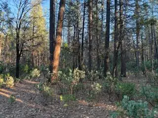 Faye Wildcat Ranch Road, Whitmore, CA 96096 - #3