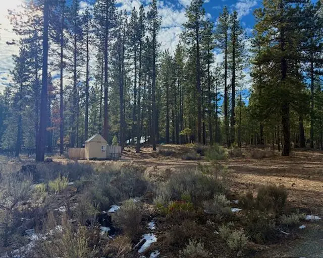 Deer Tracks Court, Old Station, CA 96071 - #1