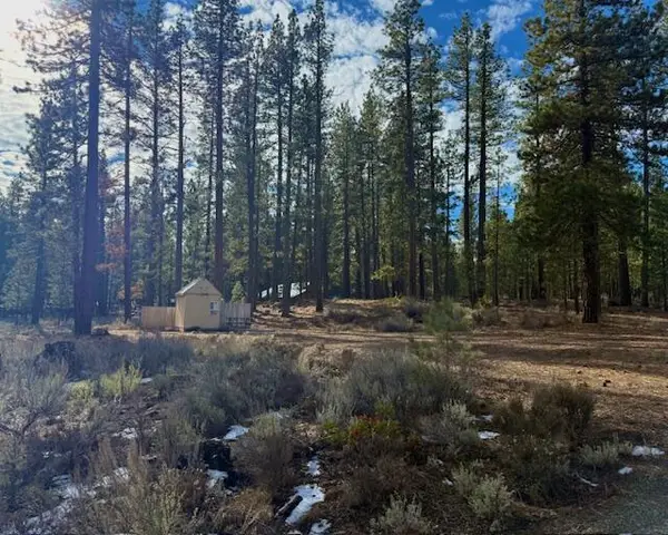 Deer Tracks Court, Old Station, CA 96071