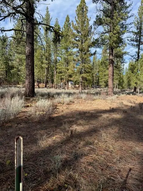 Deer Tracks Court, Old Station, CA 96071 - #3