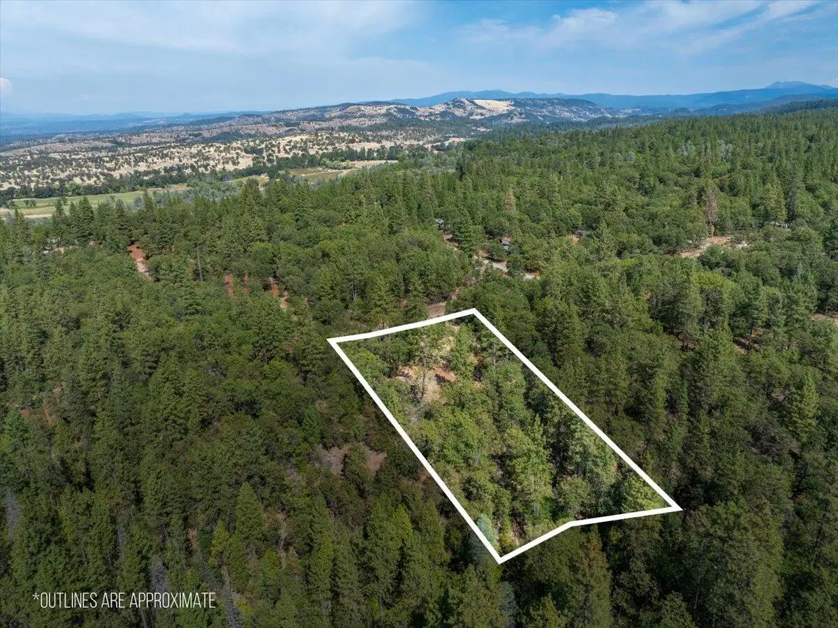 28759 Shingle Creek Lane, Shingletown, CA 96088 - #1