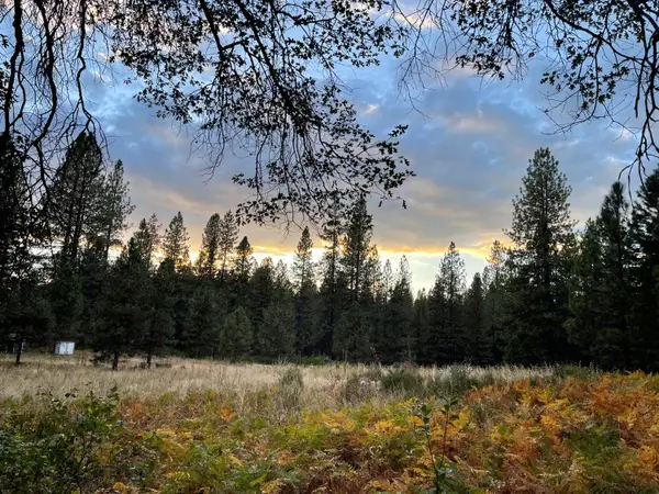 0000 Forest Road, McCloud, CA 96057