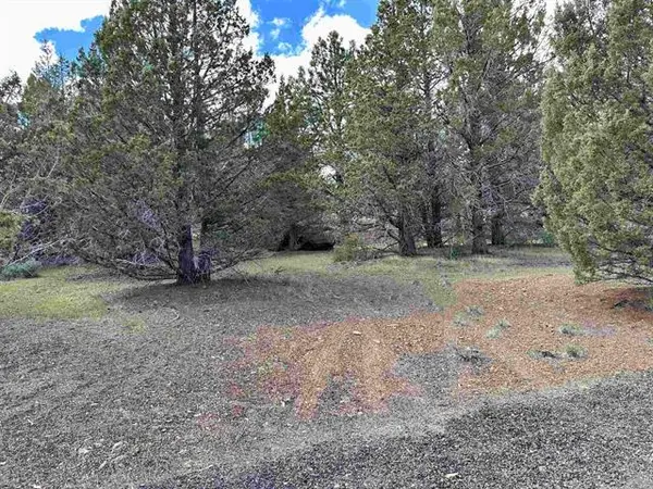 508-995 Stones Road, Susanville, CA 96130