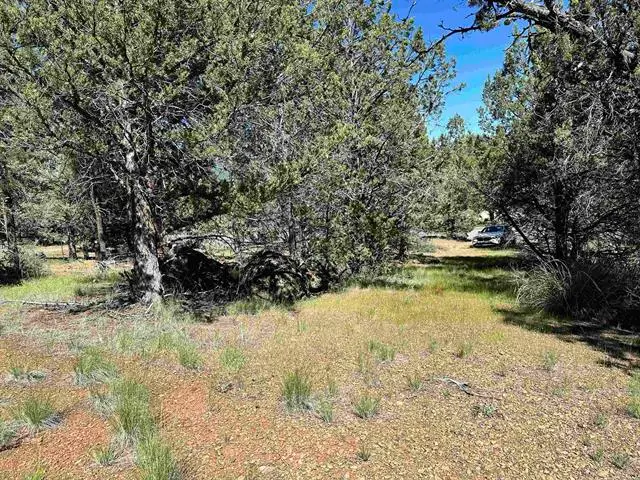 508-995 Stones Road, Susanville, CA 96130 - #3