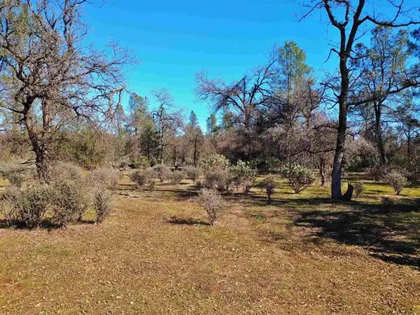 Block 11 Oak Street, Happy Valley, CA 96007