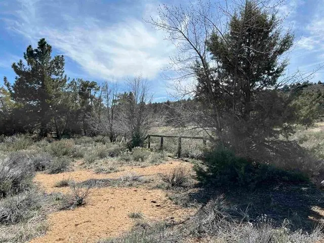 690-290 Cove Drive, Susanville, CA 96130 - #2