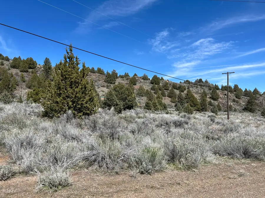 690-290 Cove Drive, Susanville, CA 96130 - #3