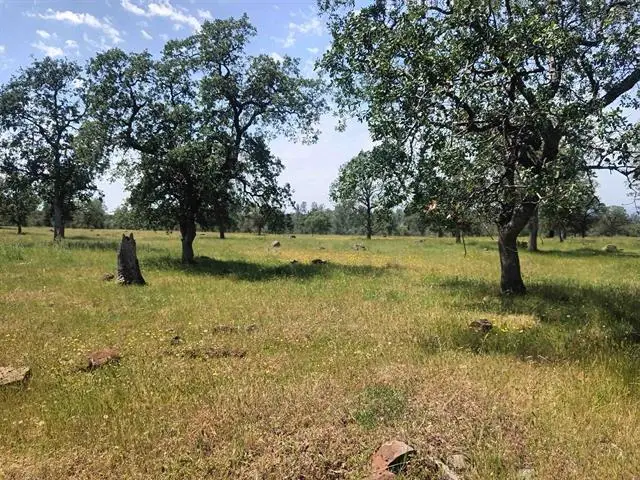 000 Wildcat Road, Anderson, CA 96007 - #1