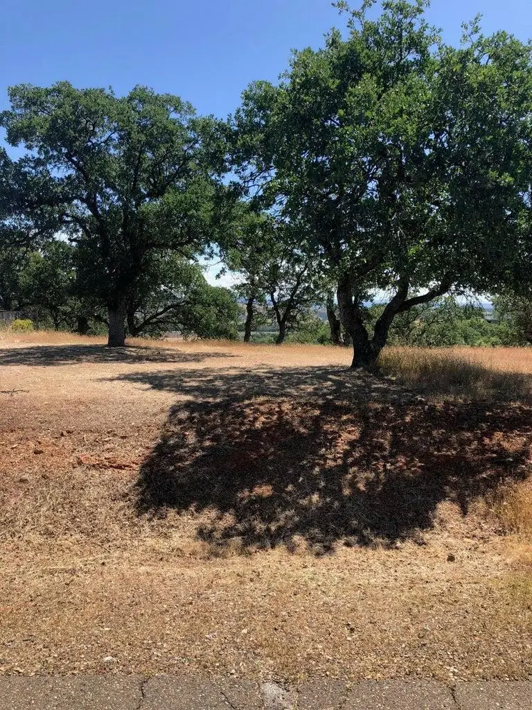 19828 Antelope Creek Drive, Cottonwood, CA 96022 - #2