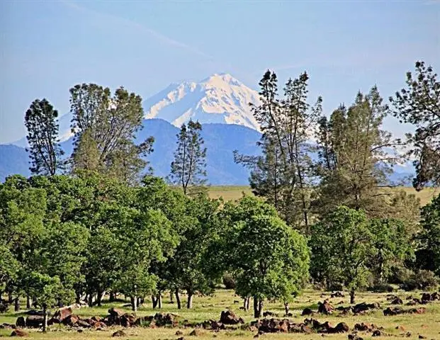 000 Aoudad Drive, Anderson, CA 96007 - #2
