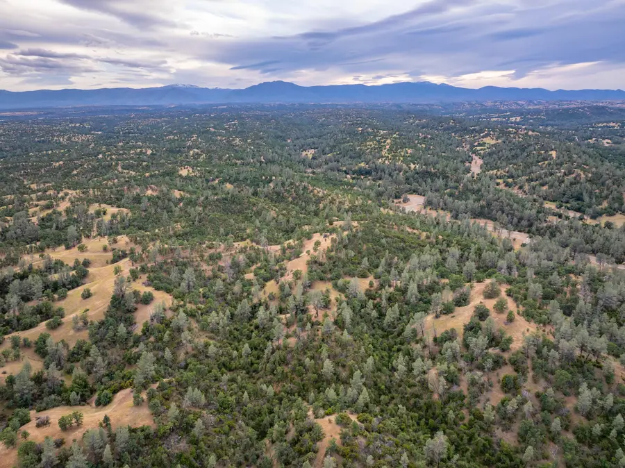 14015 State Highway 36 West, Cottonwood, CA 96022 - #3