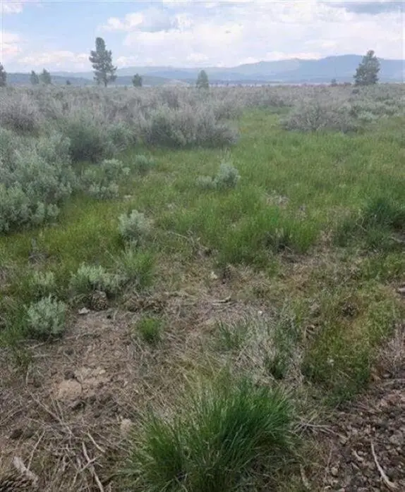 000 Mimosa Way, Susanville, CA 96130
