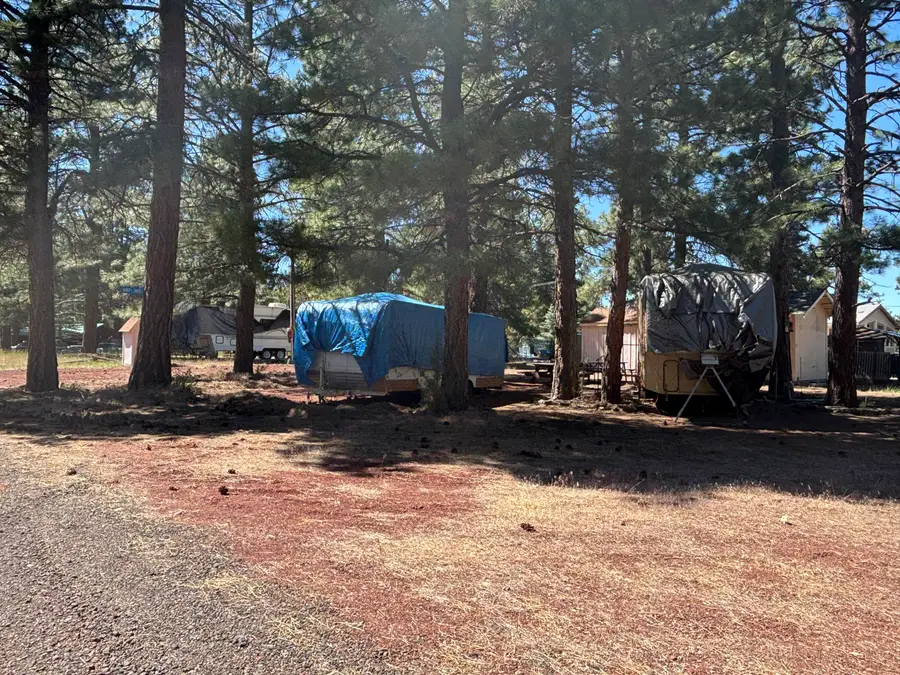 687-365 Maple Way, Susanville, CA 96130 - #3