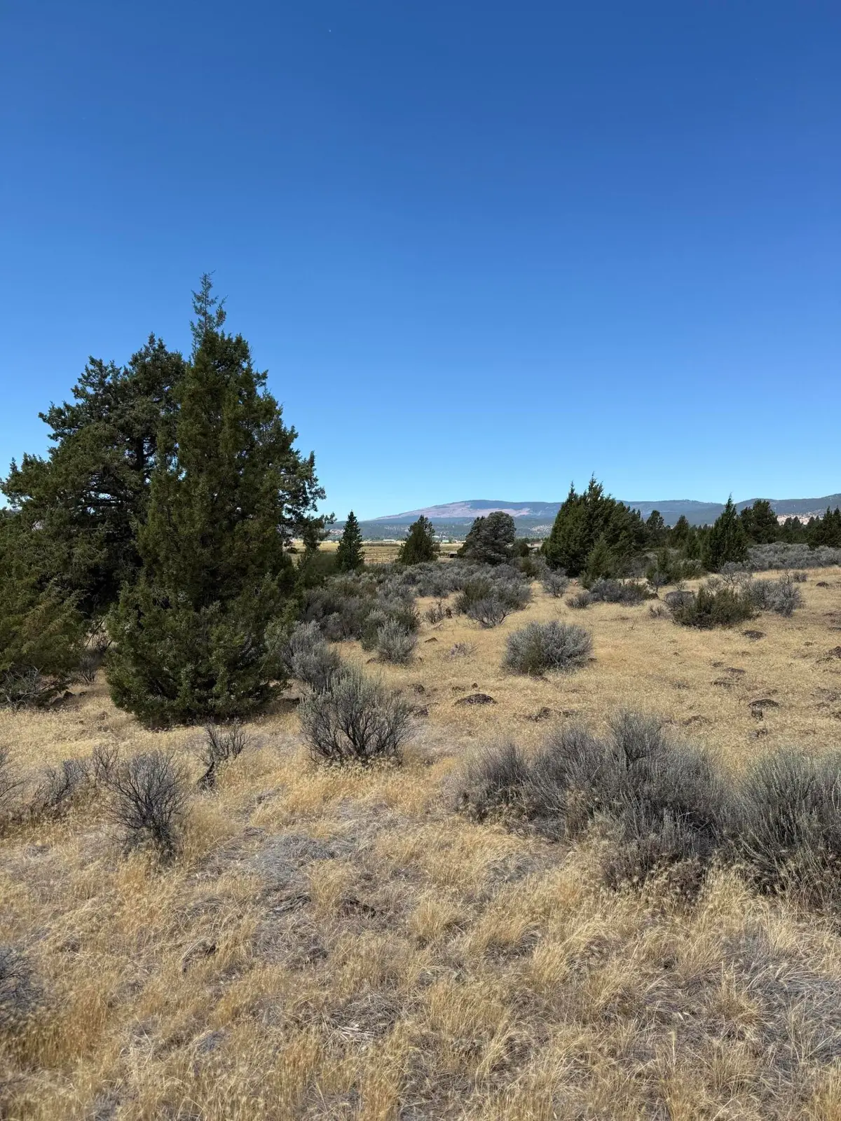 705-125 Kenneth Lane, Susanville, CA 96130 - #1