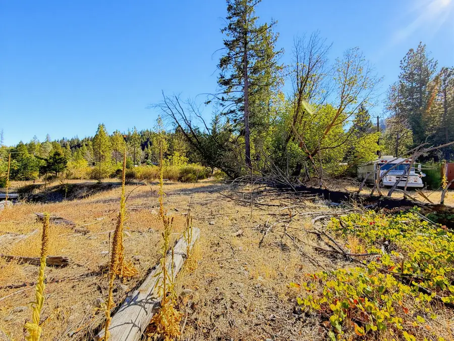 250 Bear Springs Road, Junction City, CA 96048 - #3