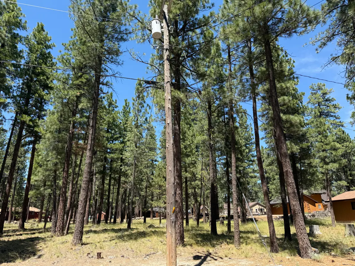 Willow Way, Susanville, CA 96130 - #1