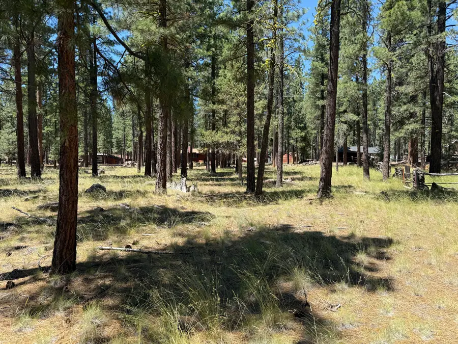 Willow Way, Susanville, CA 96130 - #3