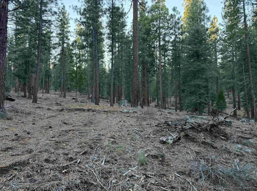 Gray Eagle Lane, Susanville, CA 96130 - #2