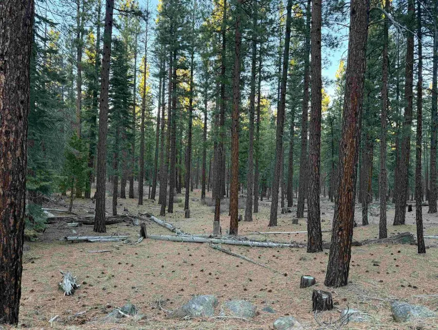Gray Eagle Lane, Susanville, CA 96130 - #3