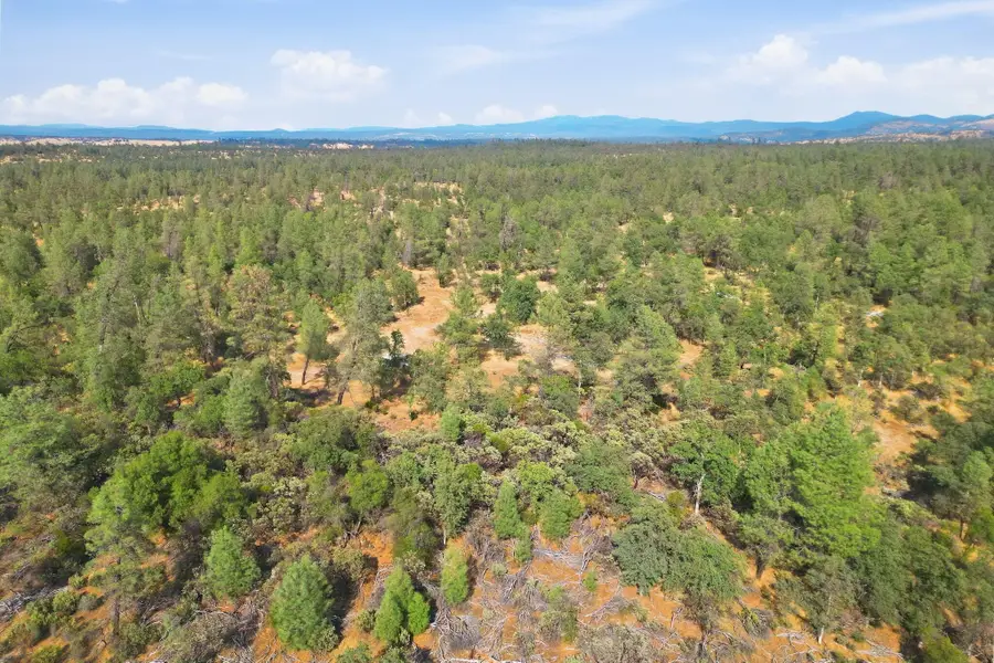 No Address 093-120-031-000, Shingletown, CA 96088 - #2
