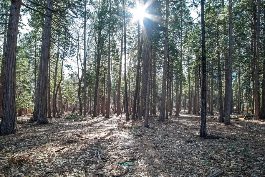 Woodridge Drive, Shingletown, CA 96088 - #2