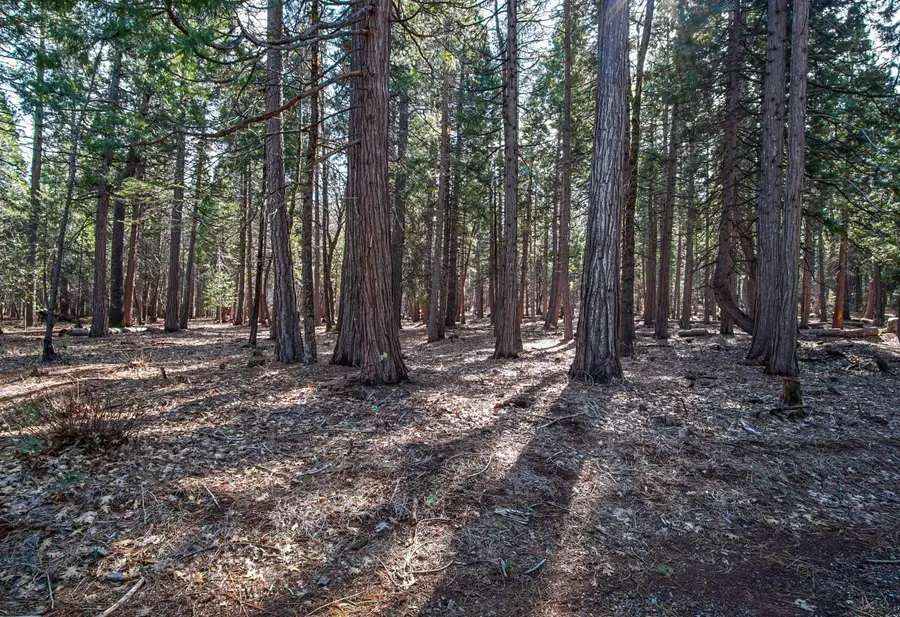 Woodridge Drive, Shingletown, CA 96088 - #3