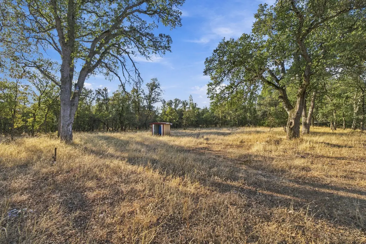 18910 Chante Way, Cottonwood, CA 96022 - #1