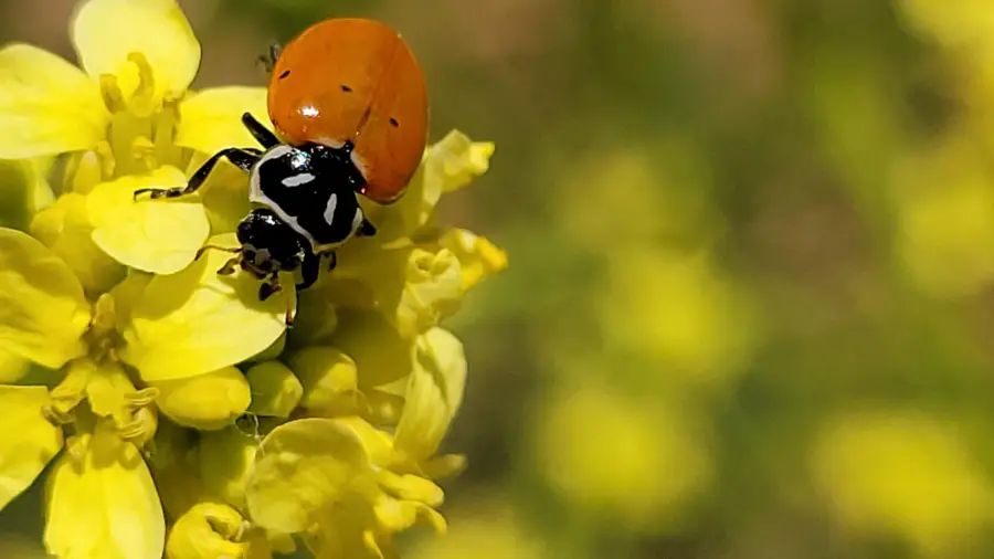 1912 Cascade Boulevard, Shasta Lake, CA 96019 - #2