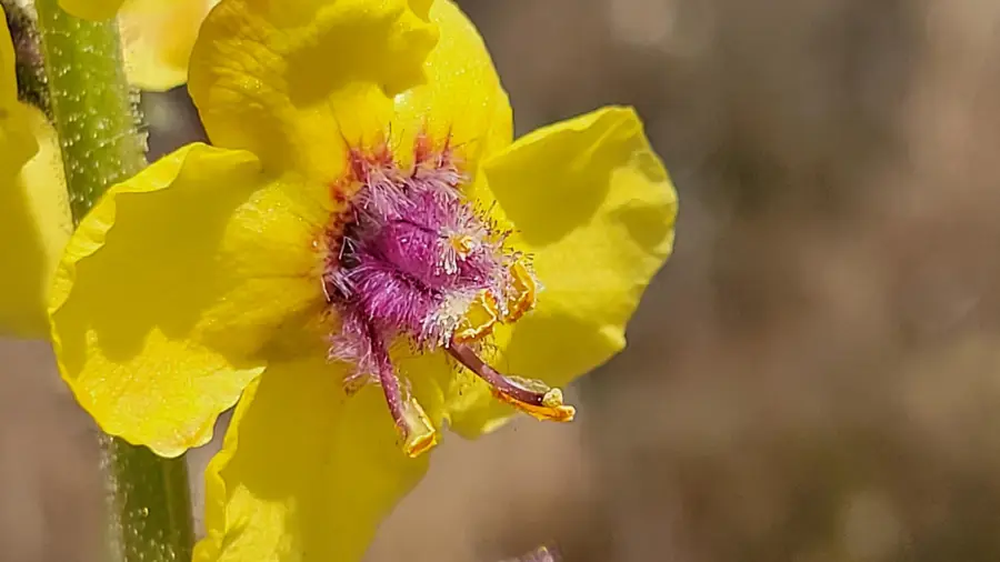 1912 Cascade Boulevard, Shasta Lake, CA 96019 - #3