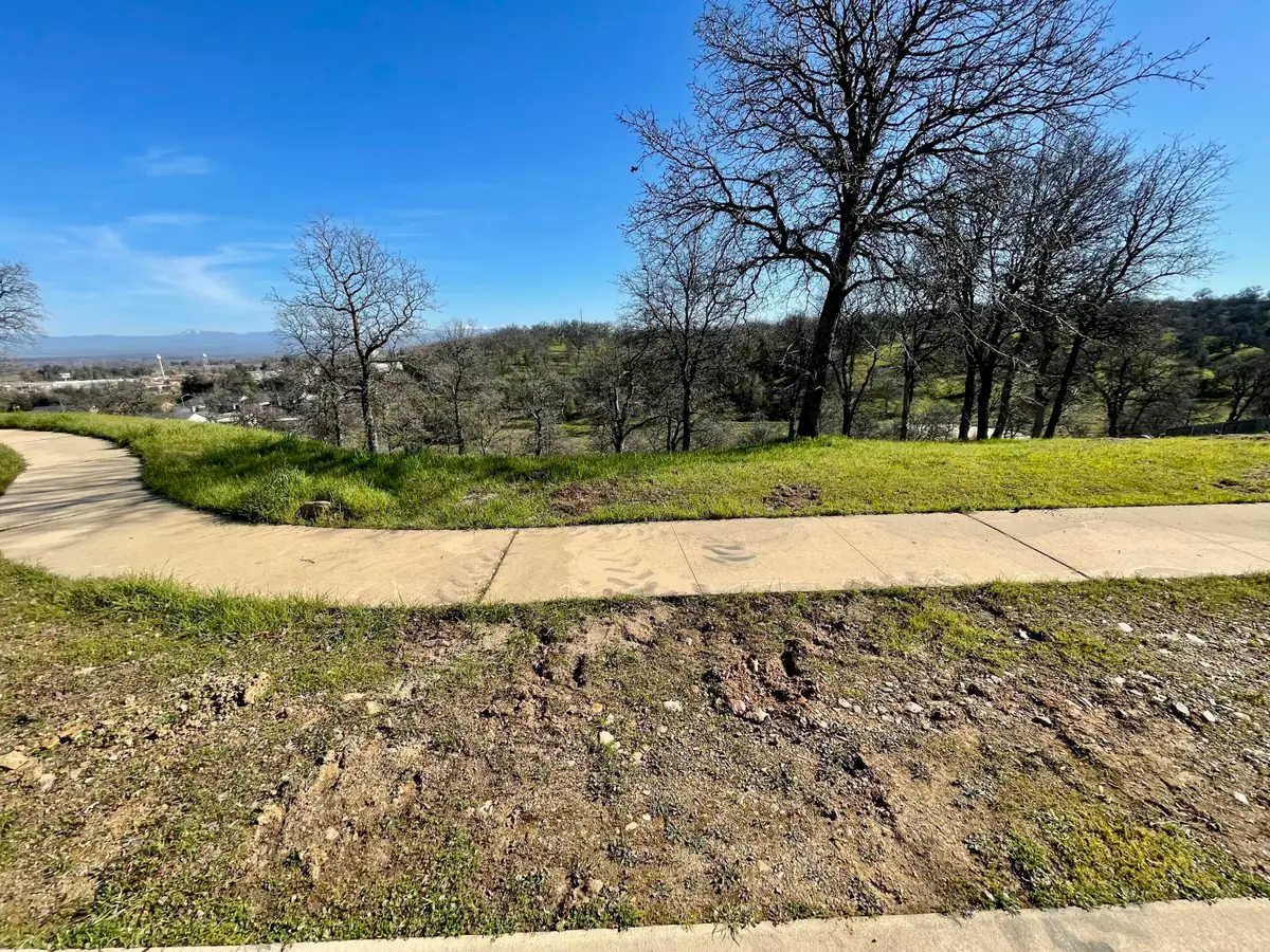 20287 Domaine Place, Anderson, CA 96007 - #1