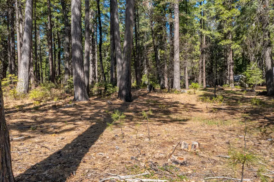 Lot 1 Emigrant Trail, Shingletown, CA 96088 - #3