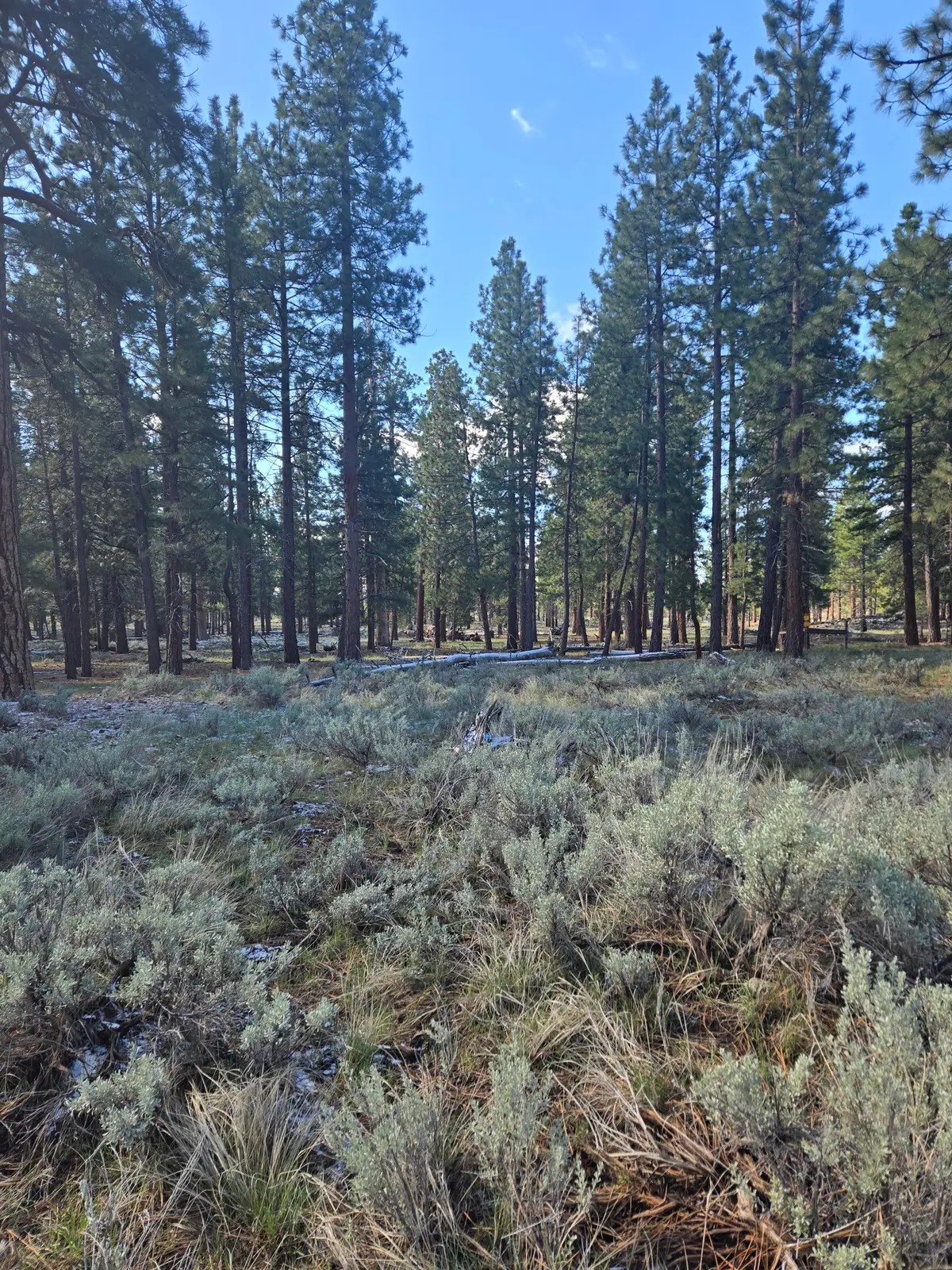 000 Hazel Way, Susanville, CA 96130 - #1