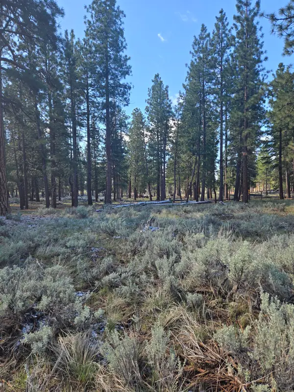 000 Hazel Way, Susanville, CA 96130