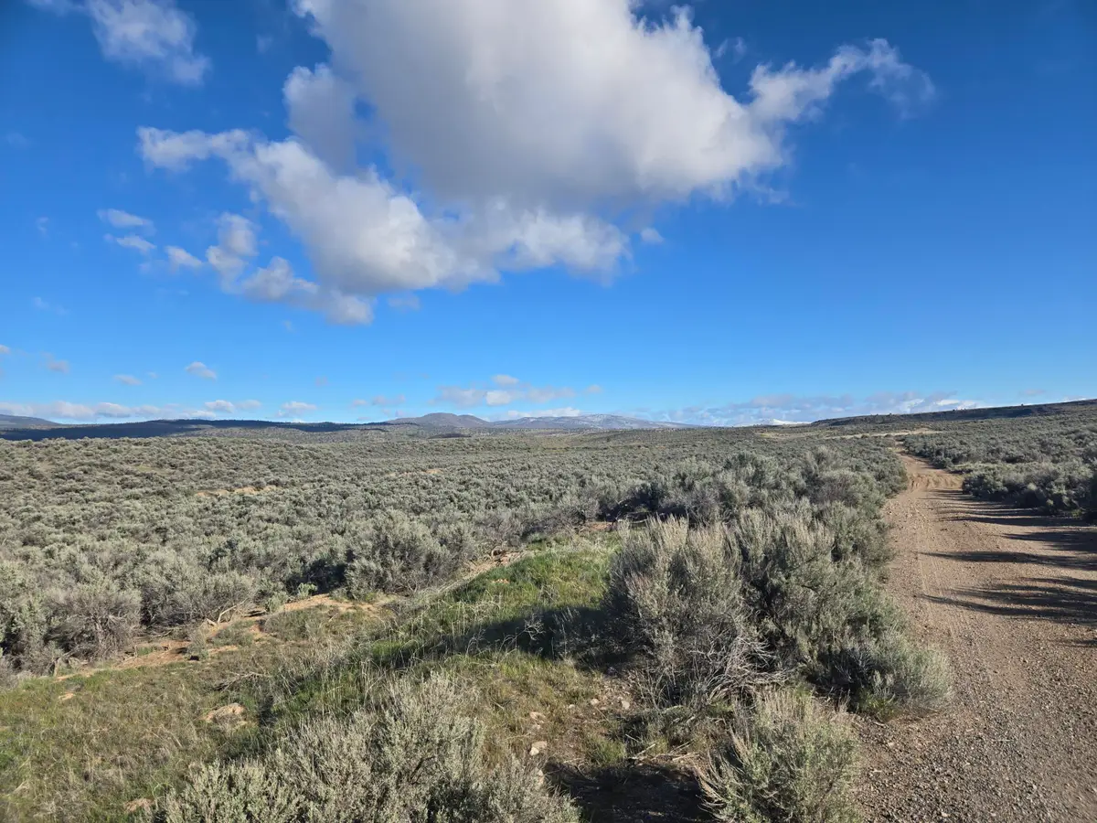 000 Ward Lake Road, Litchfield, CA 96117 - #1