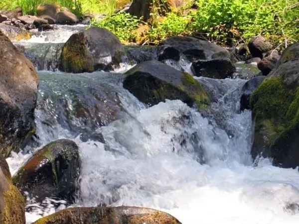 Lot 01 Woodcutters Way, Manton, CA 96059