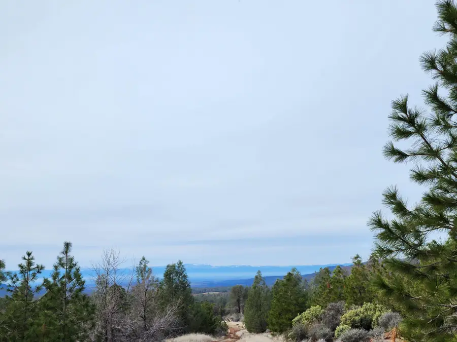 Lot 01 Woodcutters Way, Manton, CA 96059 - #2