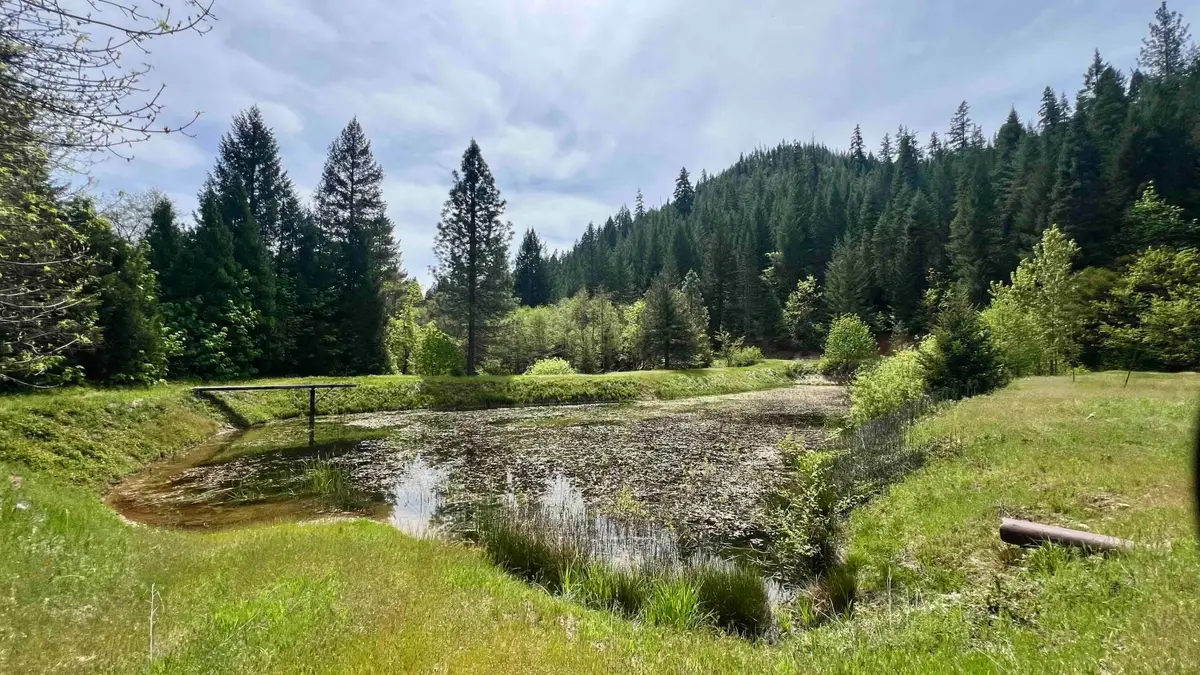 791 Rancheria Road, Trinity Center, CA 96091 - #1