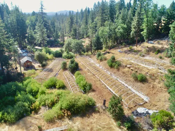 132 Horseshoe Loop, Hayfork, CA 96041