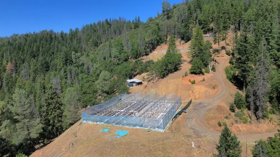 1485 Devils Gulch Road, Hayfork, CA 96041 - #3