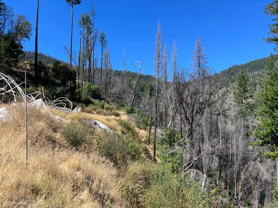 02 Hayfork Summit, Junction City, CA 96048 - #2