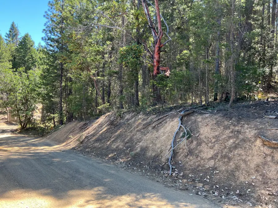 1311 Pine Forest Drive, Hayfork, CA 96041 - #3