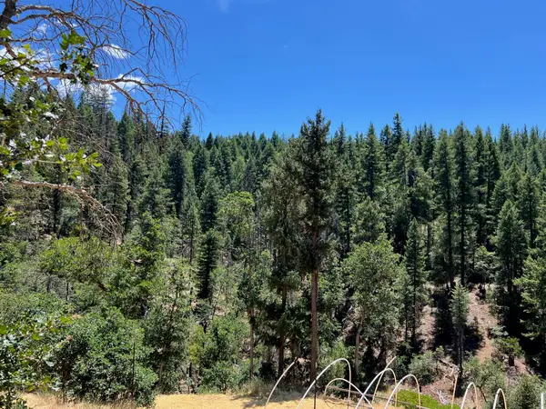 133 Autumn Court, Hayfork, CA 96041