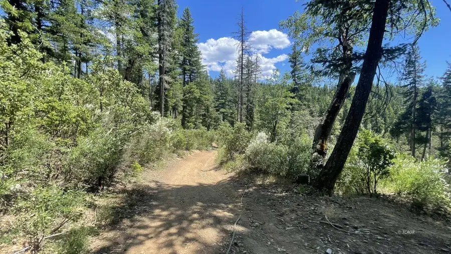 133 Autumn Court, Hayfork, CA 96041 - #3