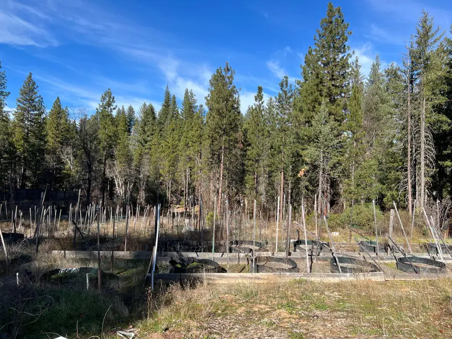 721 White Oak Road, Hayfork, CA 96041 - #3